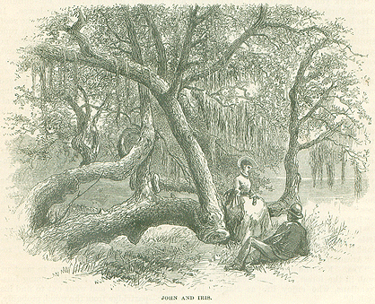 A black and white print of a Florida landscape — two figures sit beneath the large, twisting branches of a live oak tree. A female sits on one of the drooping branches, looking down at a male who reclines on the ground.