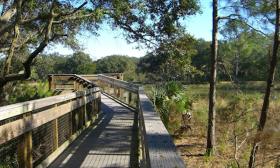 The boardwalks give a picturesque view of Florida's landscape and wildlife