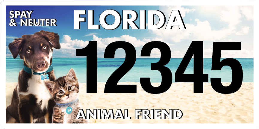 Dog and cat Florida license plate