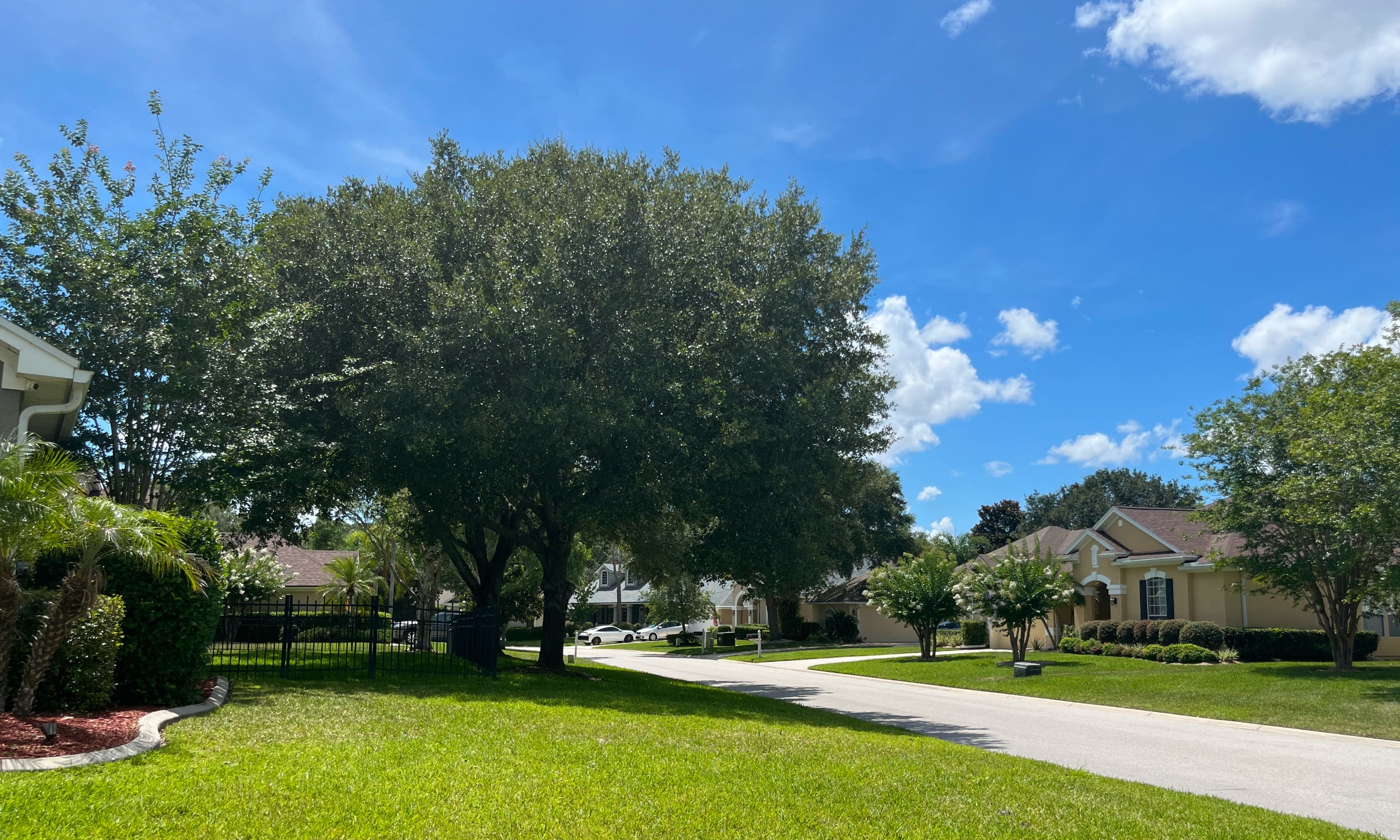 A neighborhood street view of Julington Creek in Fruit Cove.