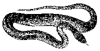 A black and white pixelated image of a snake, which is curled in on itself and has its tongue out.