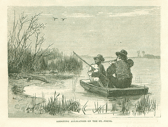 Shooting Alligators on the St. Johns river