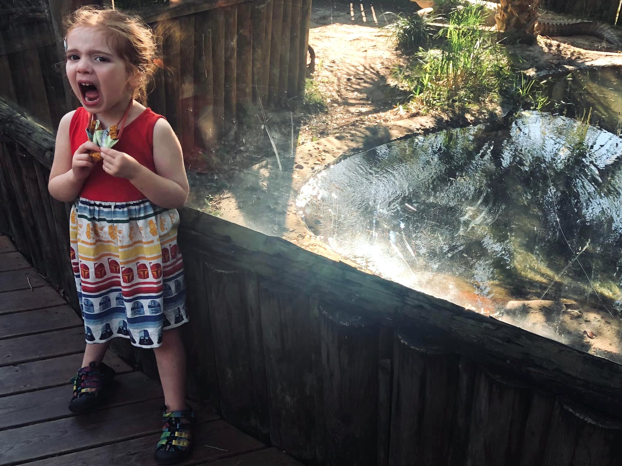 Screaming at the Alligator Farm