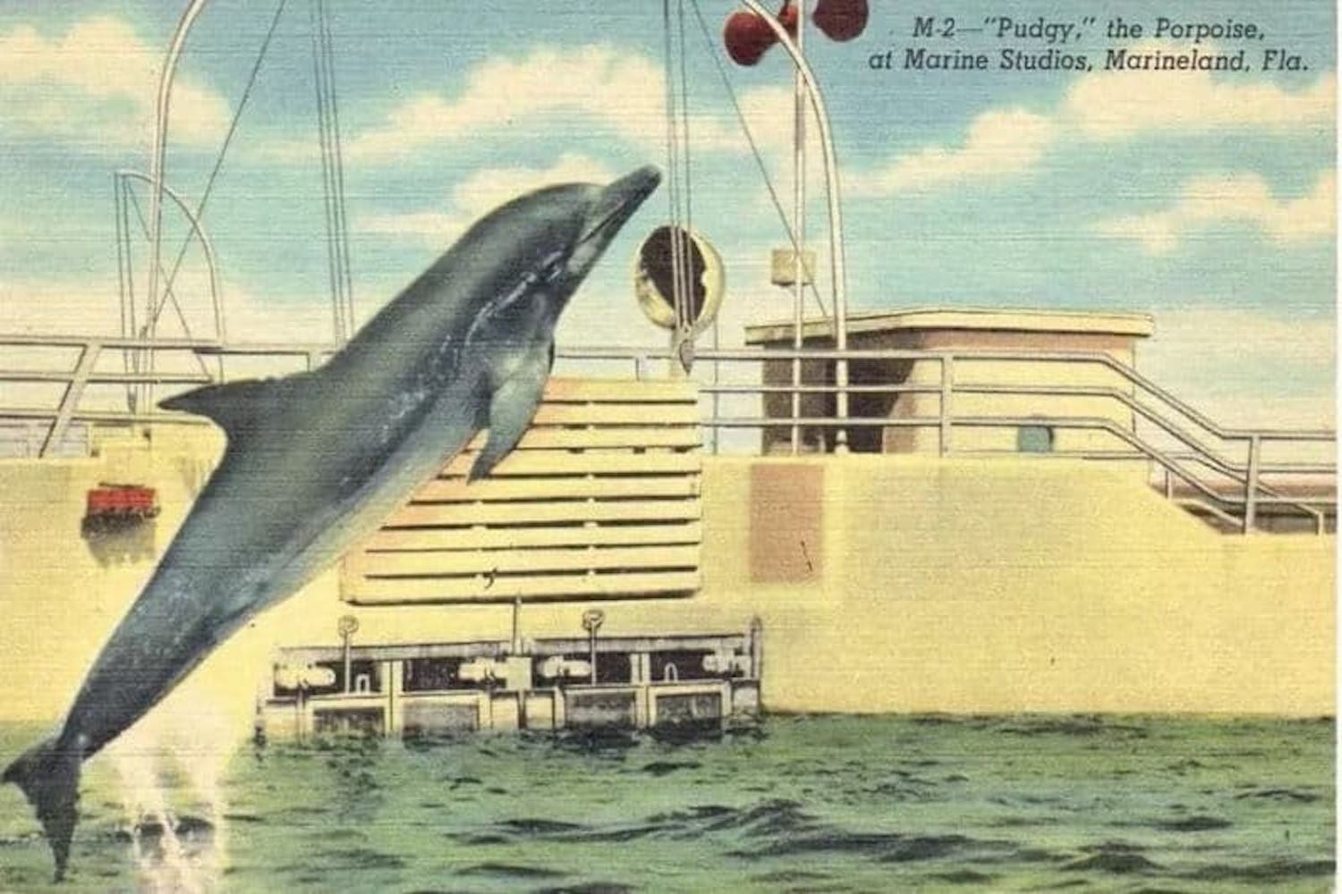 Vintage Marineland