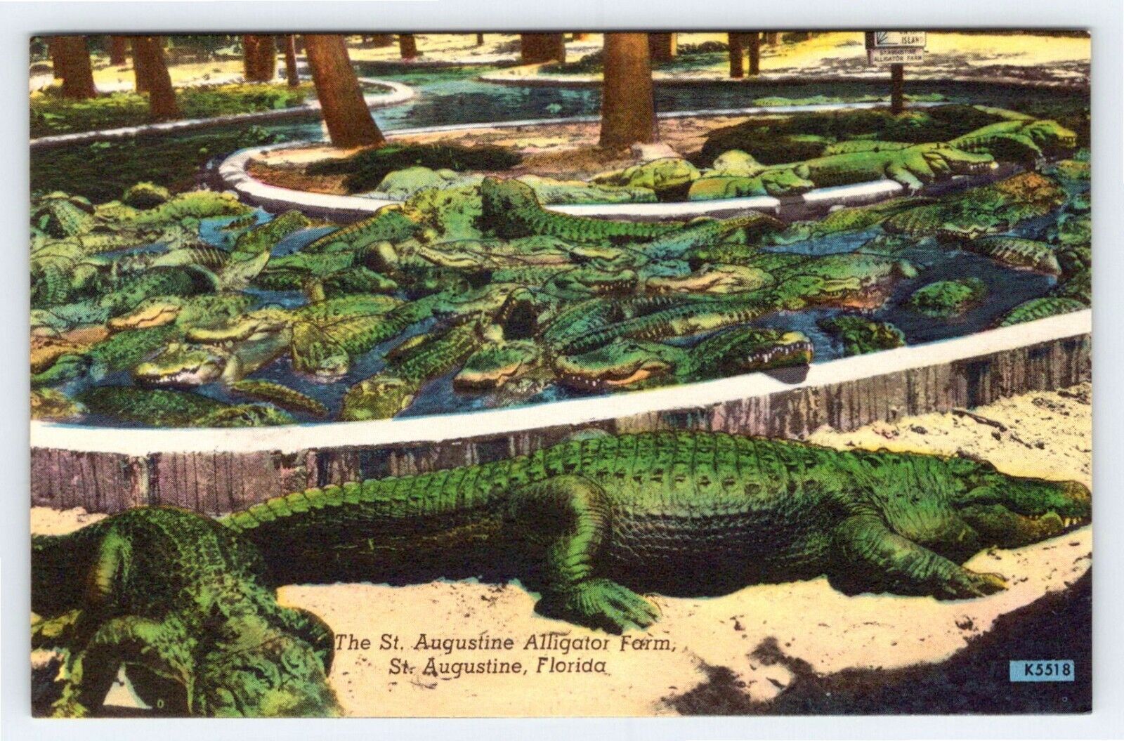 Vintage Alligator Farm