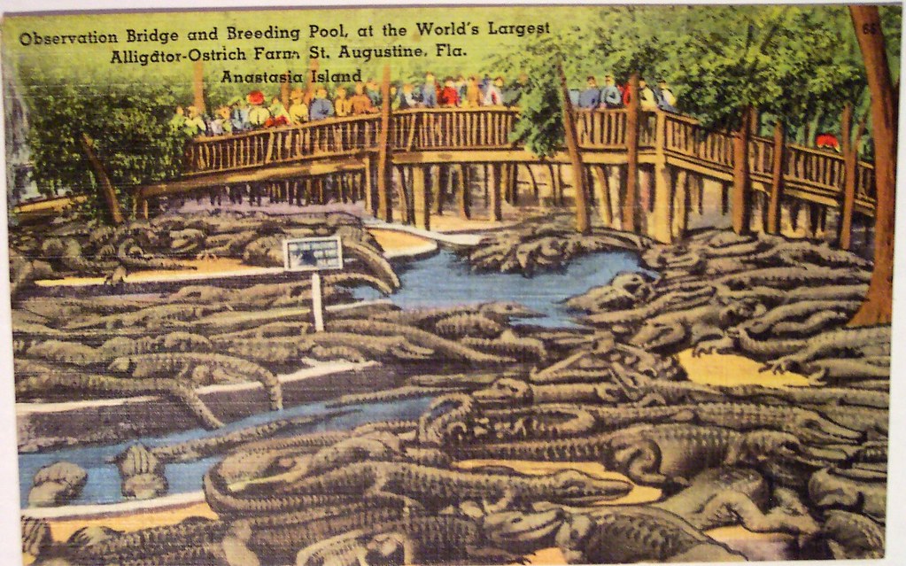 Vintage Alligator (and Ostrich) Farm