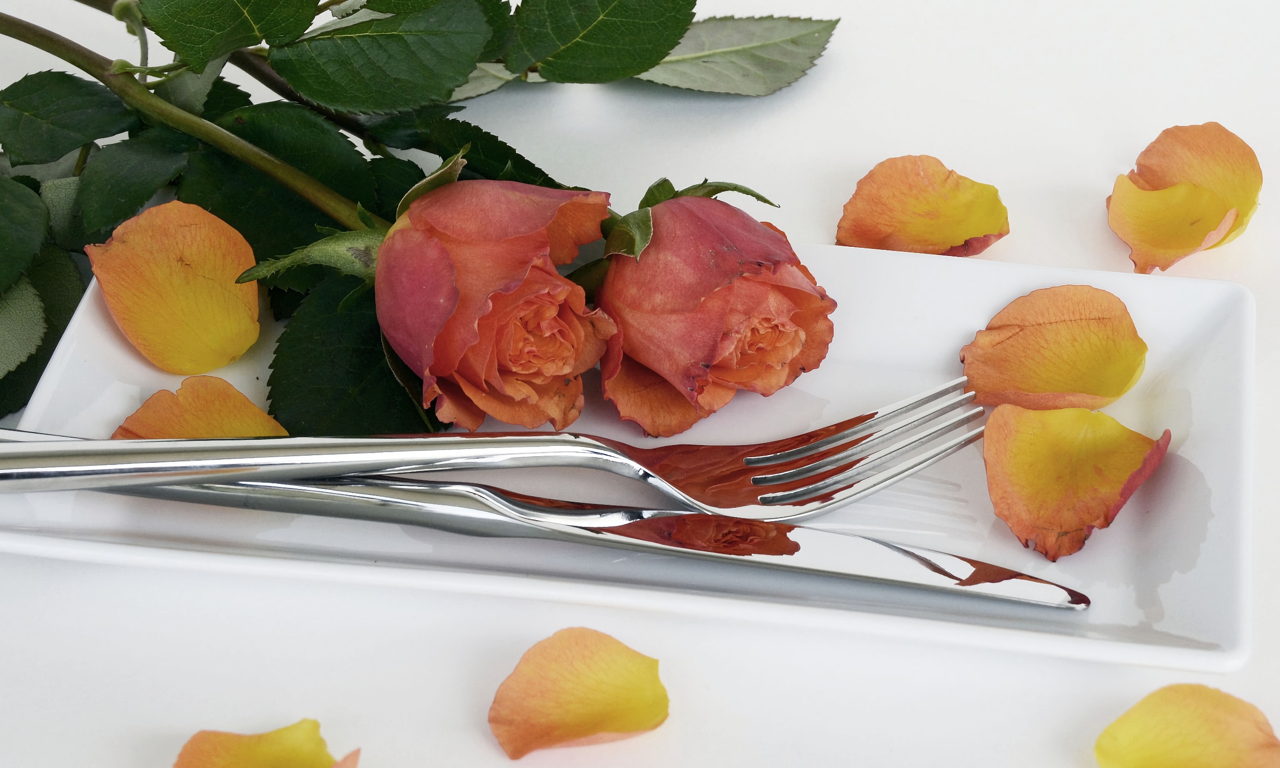 Roses and rose petals on a small plate with silverware