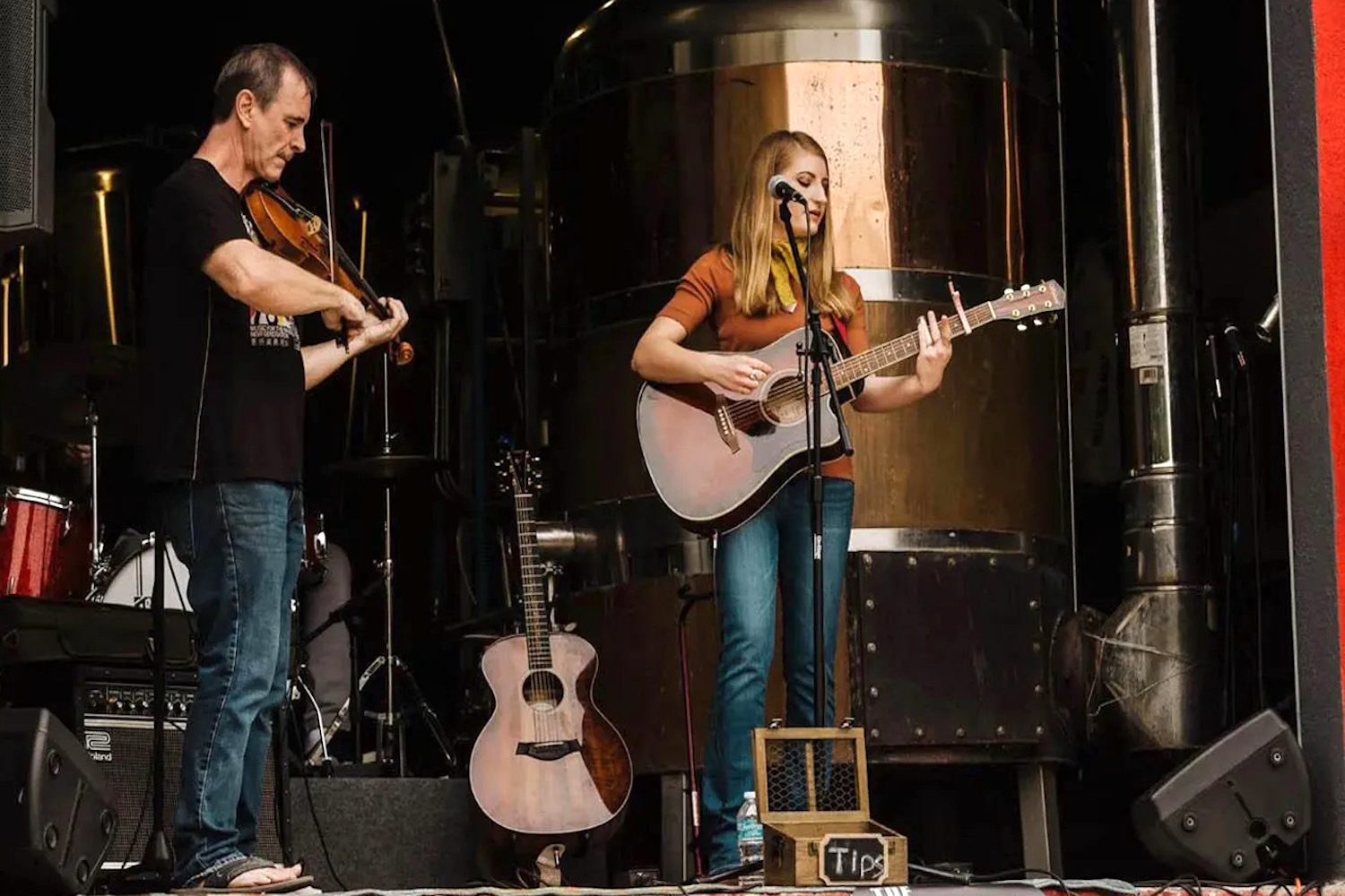 The Country Music and Craft Beer Fest
