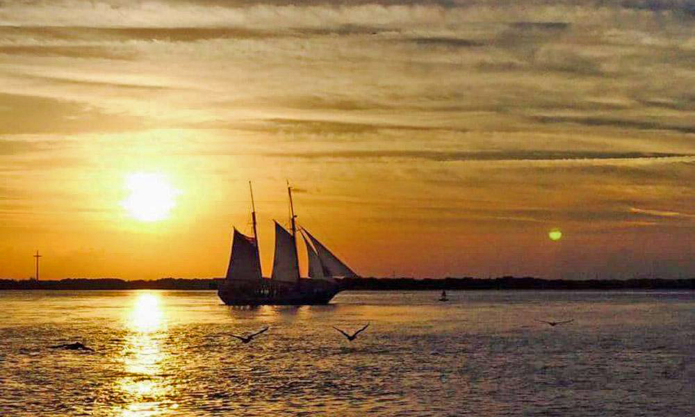The Schooner Freedom sailing at sunset in a light breeze, with flying sea birds in the foreground