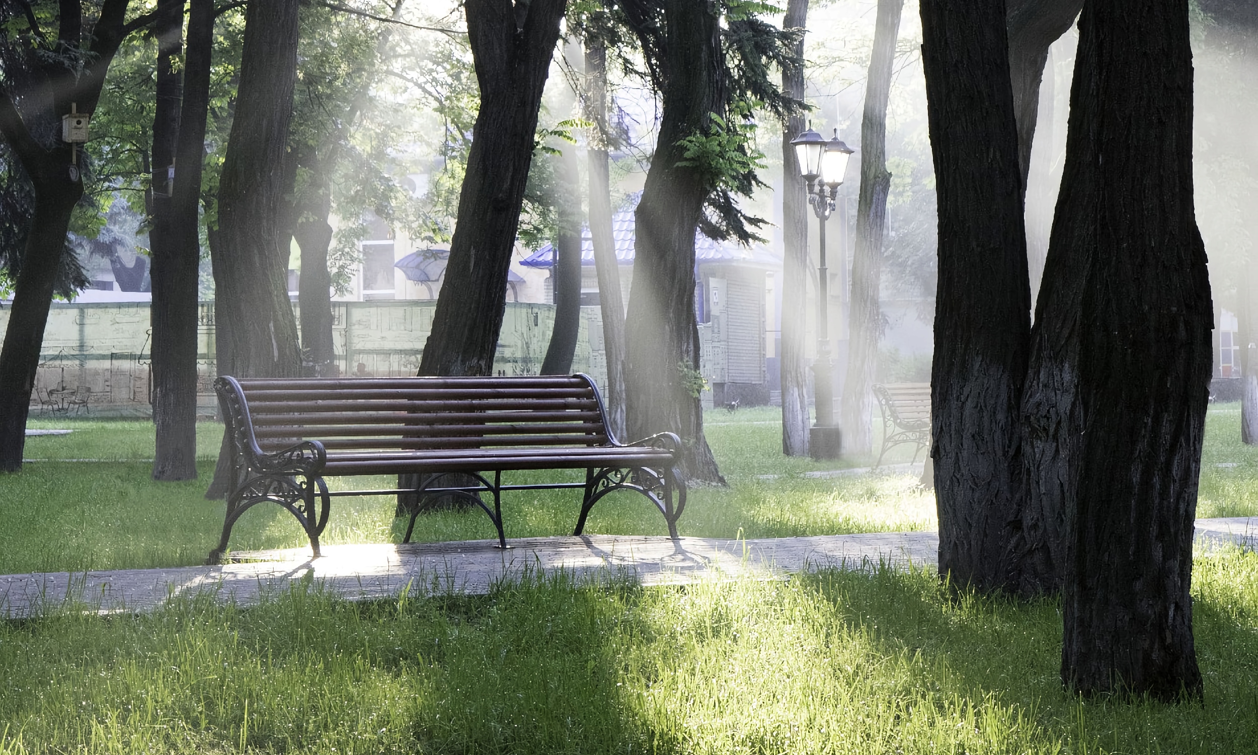 A park bench, in a city park, surrounded by trees, sunlight shining on the area