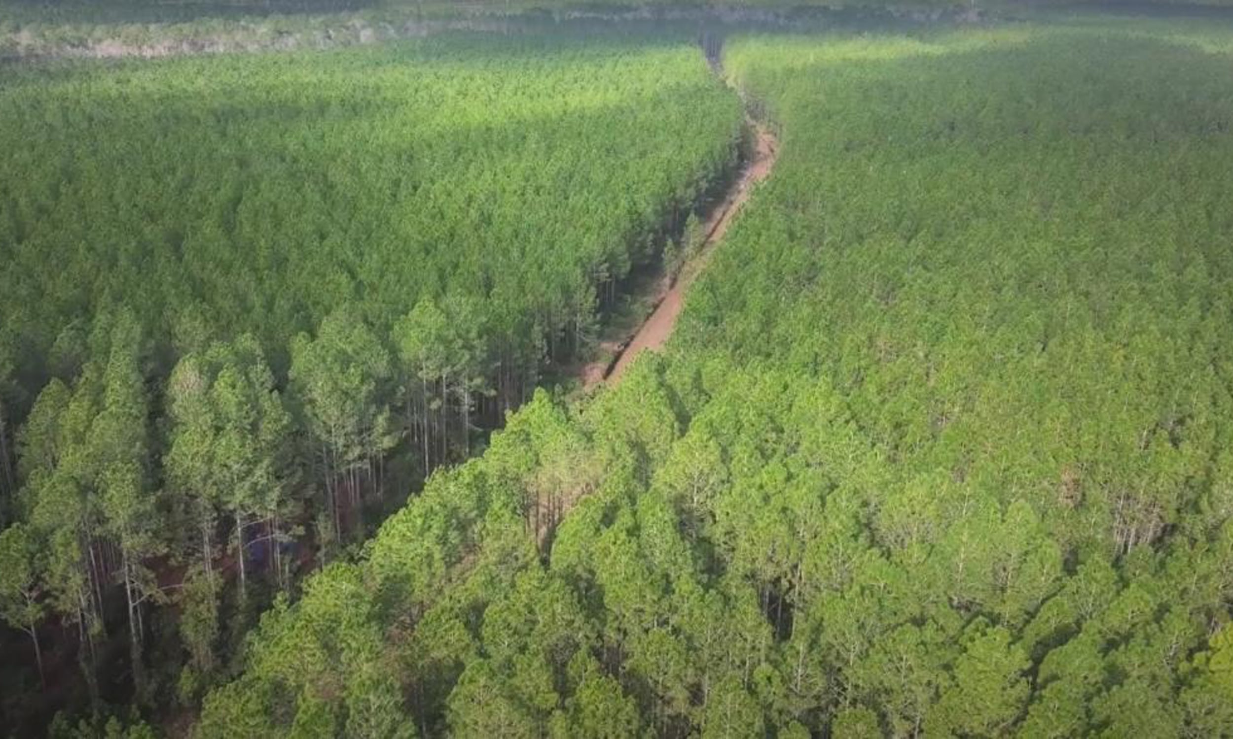 Aerial view of McCullough Creek Conservation Area