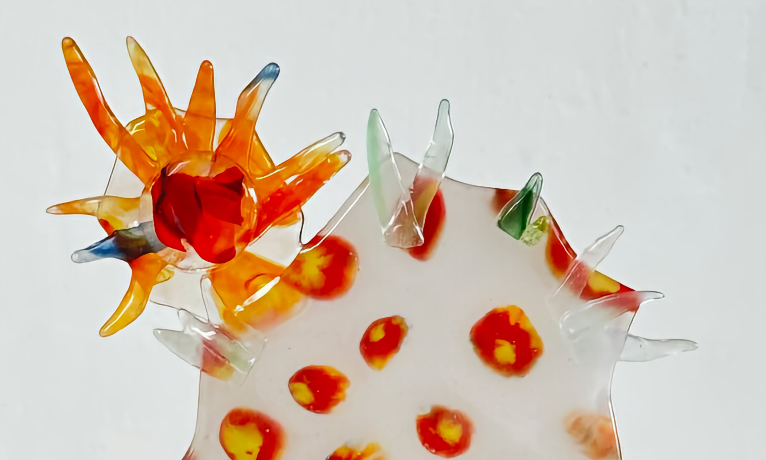 Glass artwork by Rose Hawley