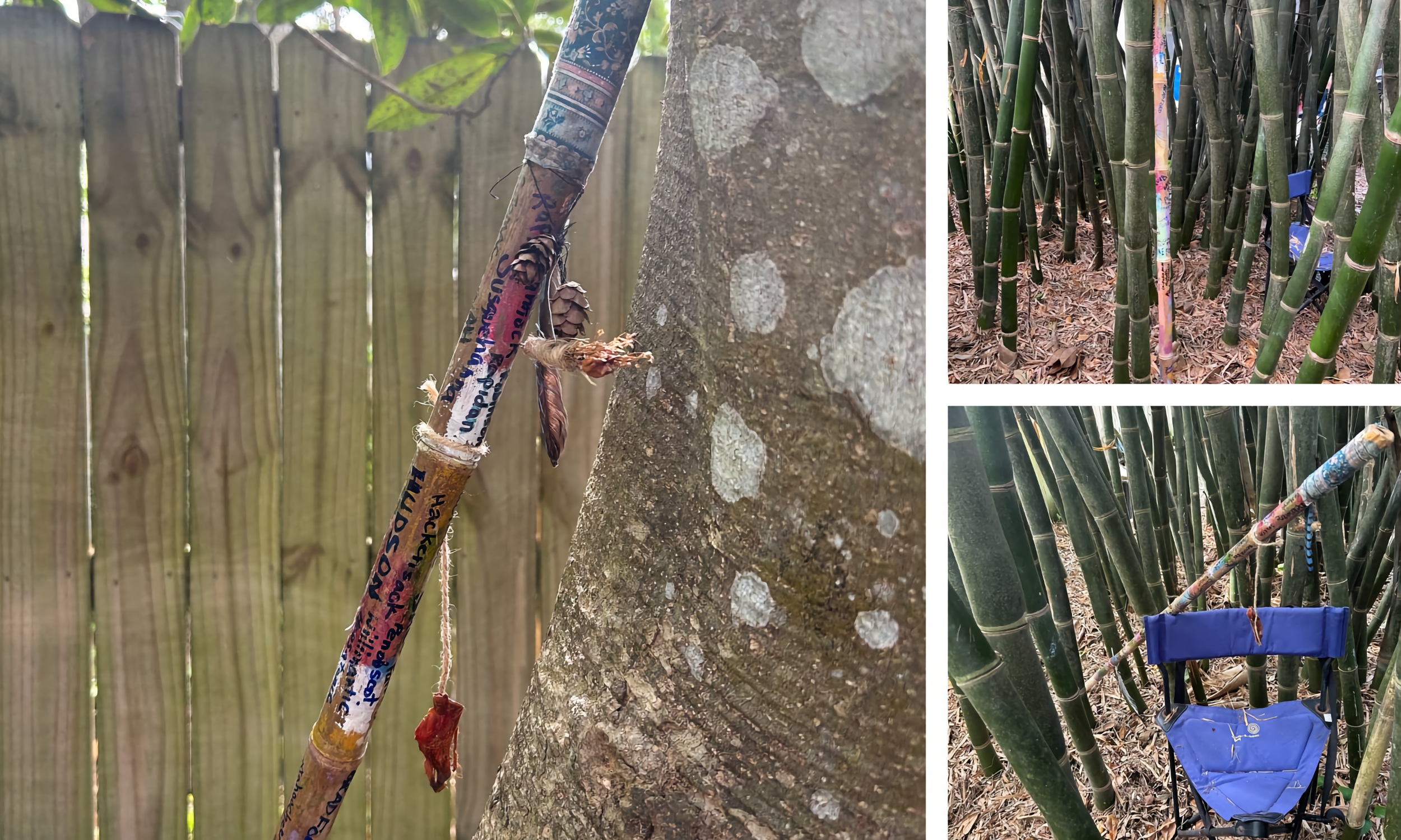 Three images of bamboo river sticks