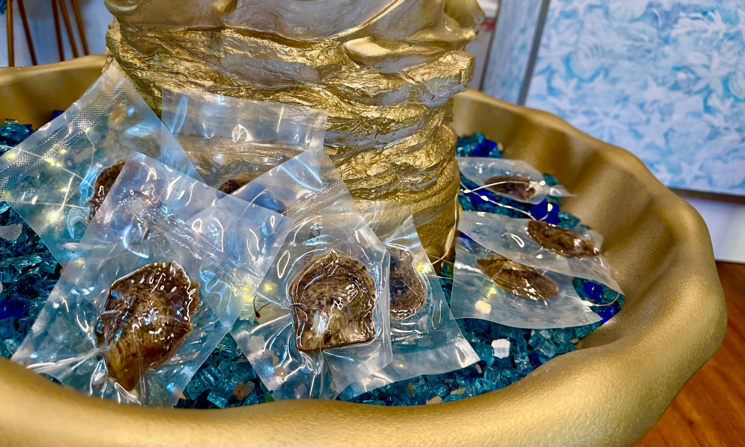 Oyster shells in the fountain at the Pearl Shop