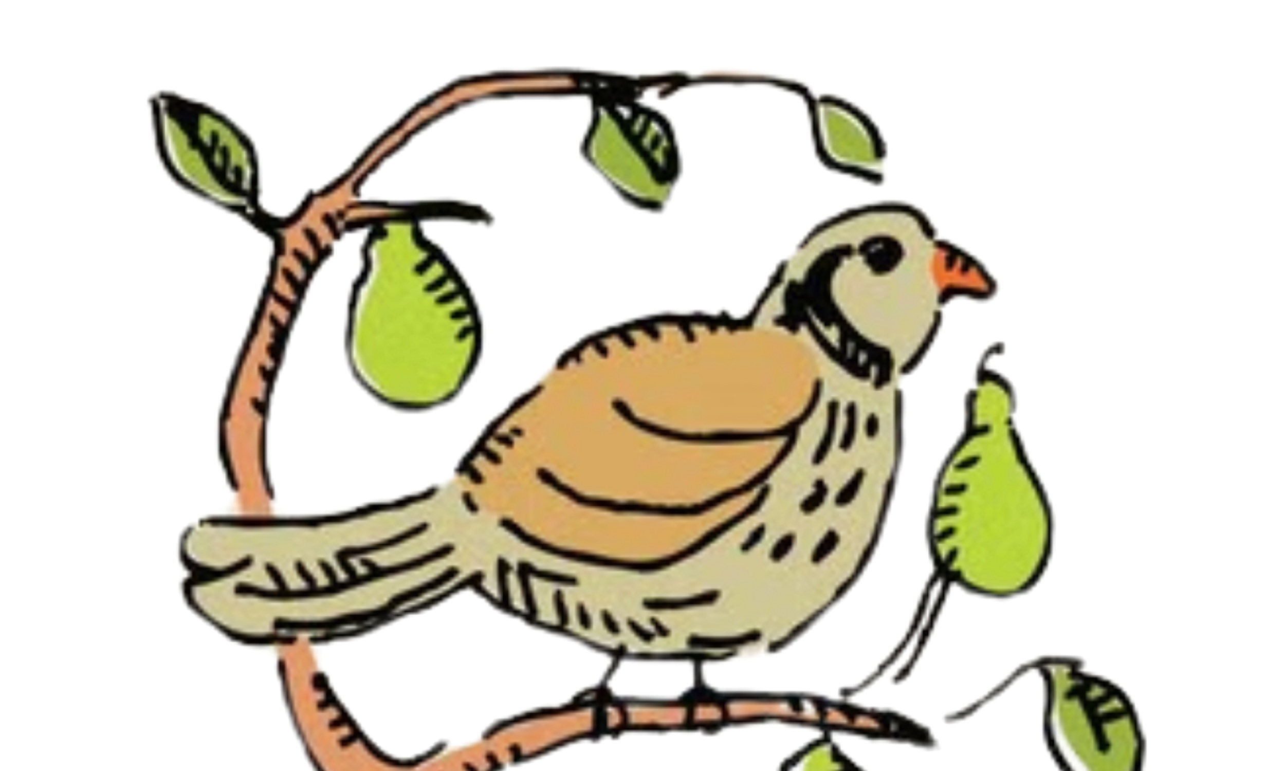A graphic of a partridge in a pear tree