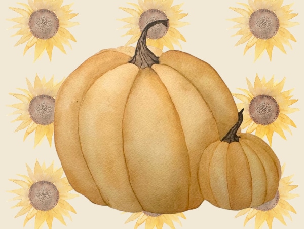 A watercolor painting of pumpkins against a background of sunflowers