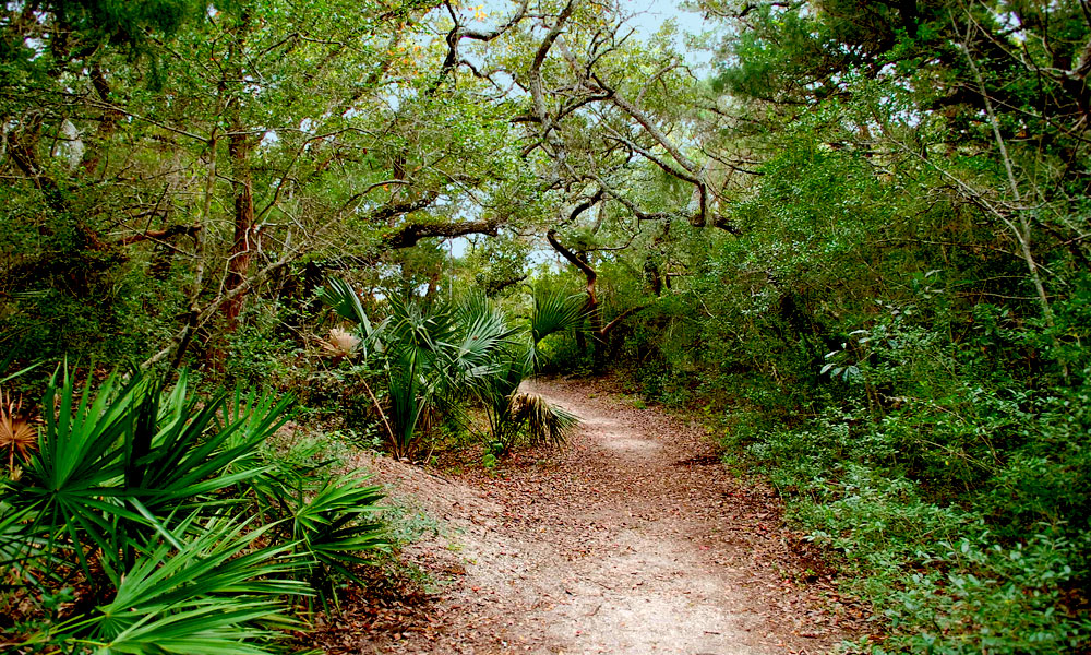 10 Ways to Get Outdoors in St. Augustine Visit St Augustine