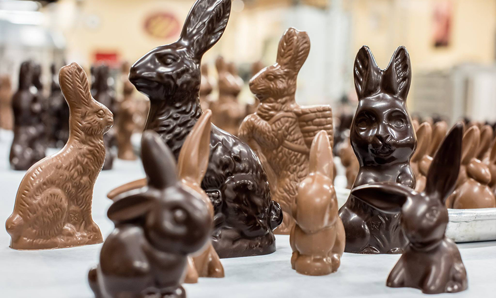 Whetstone Chocolate Factory Visit St Augustine