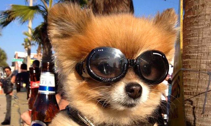Biketoberfest 2018 St Augustine Fl The 26th Anniversary Of Biketoberfest In Daytona Beach Will Take Place From Friday To Sunday October 18 21 2018