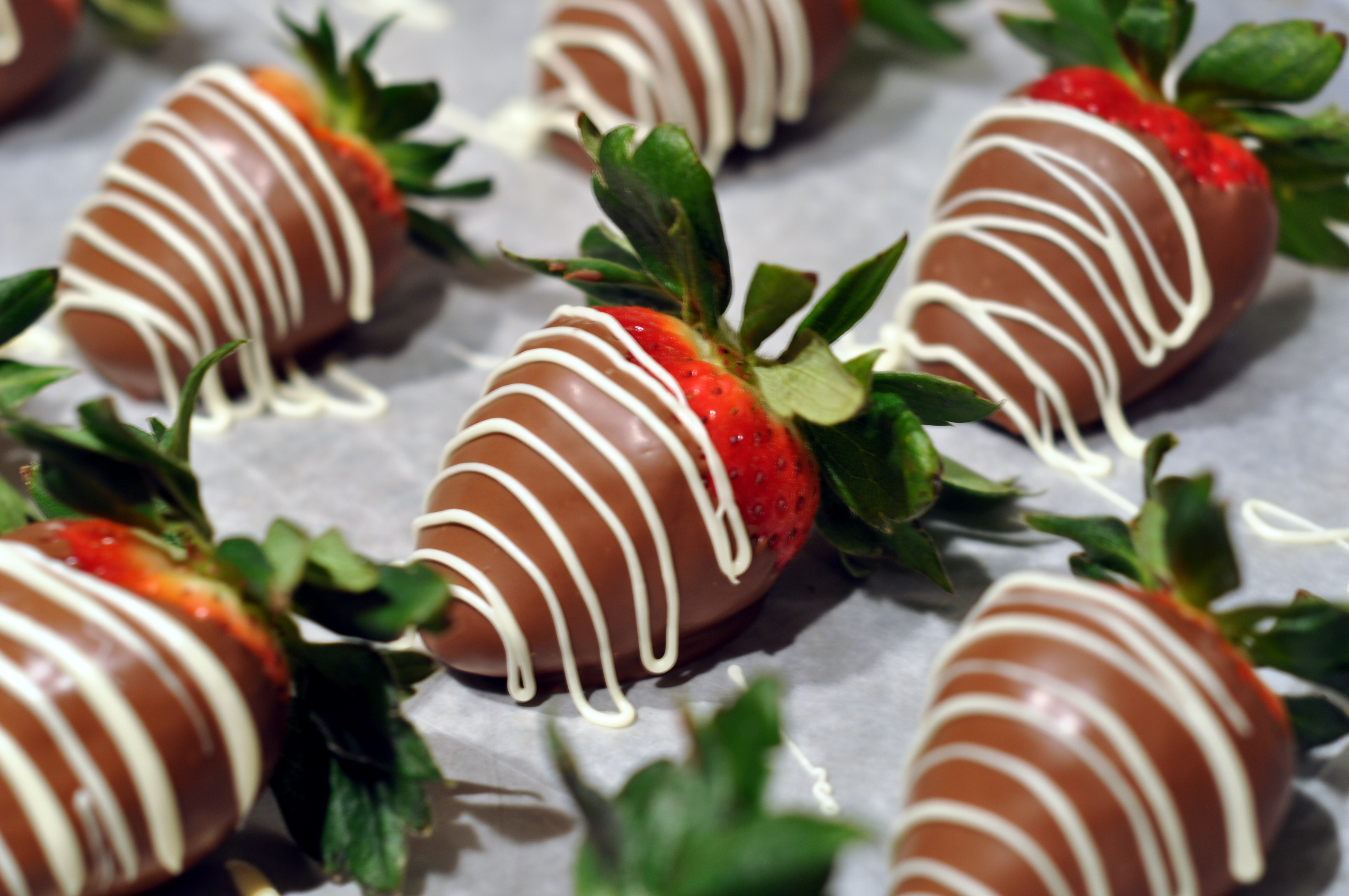 Cupid S Chocolate Tasting Tour Visit St Augustine