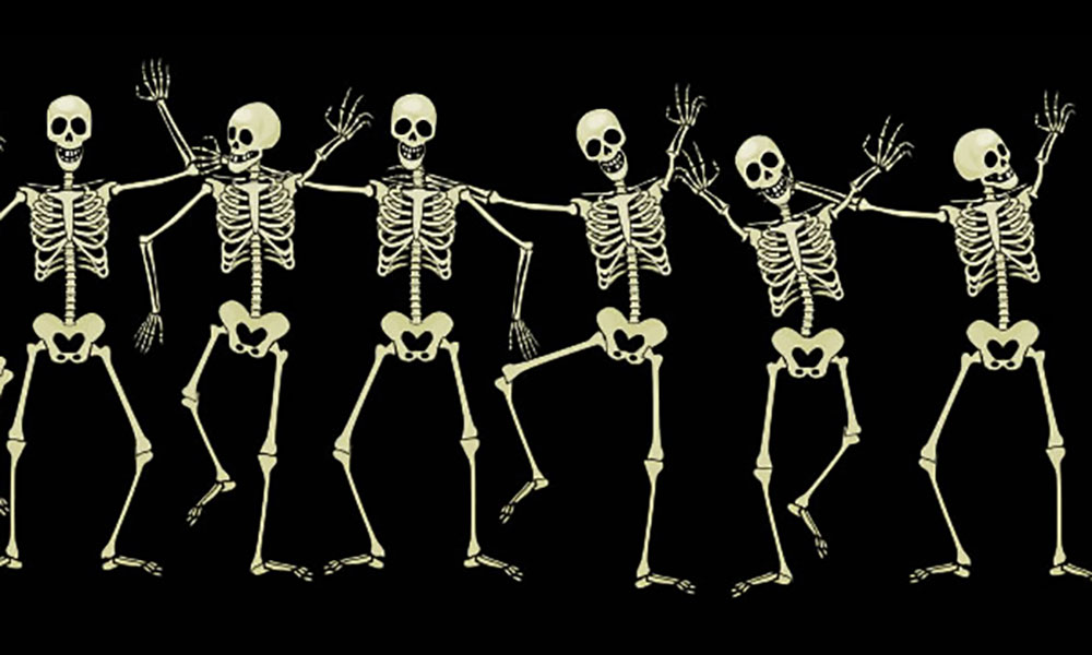 Ripley's Great Skeleton Scavenger Hunt | Visit St Augustine monkey skull diagram 