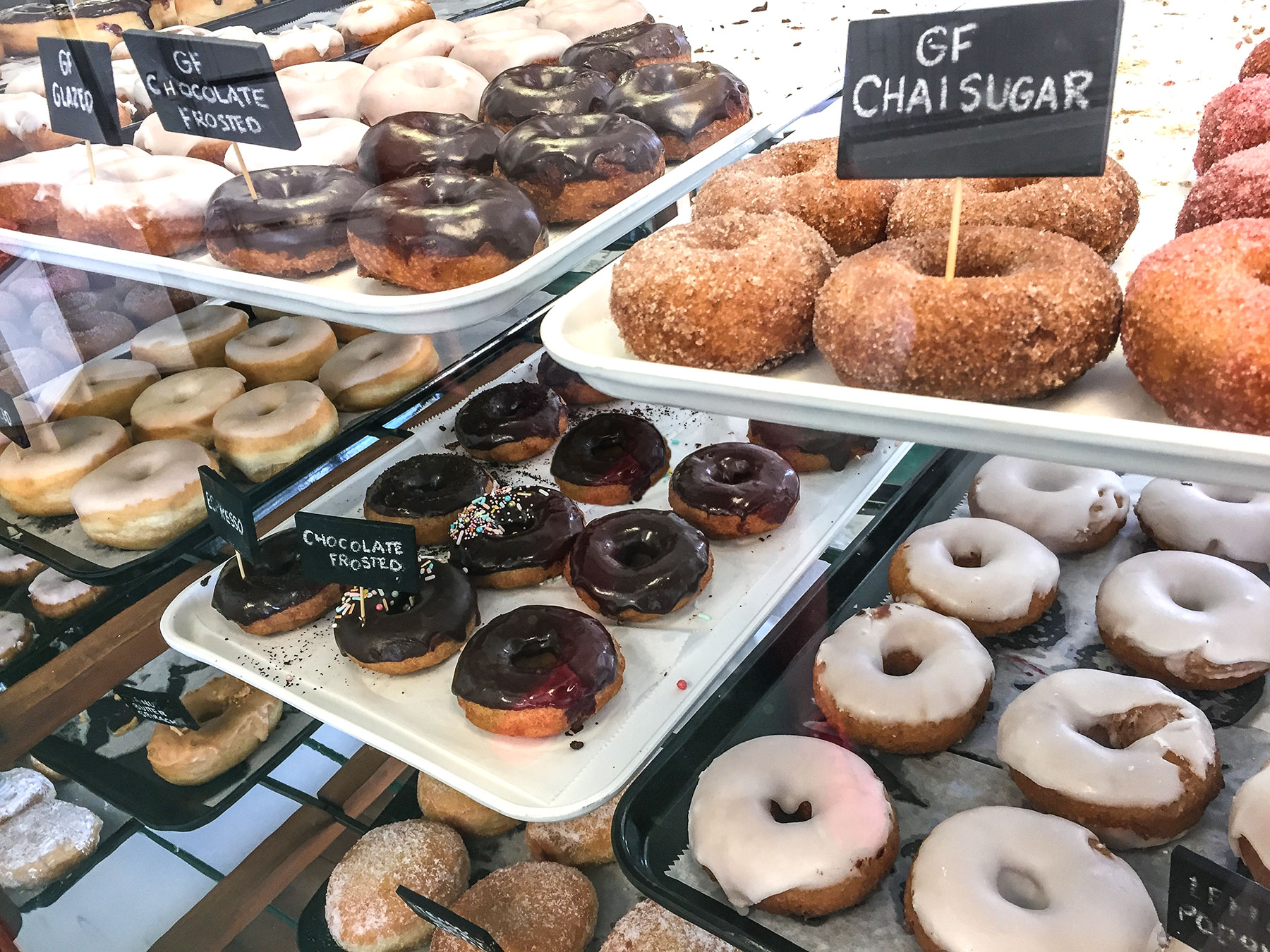 Fiction Donuts Visit St Augustine