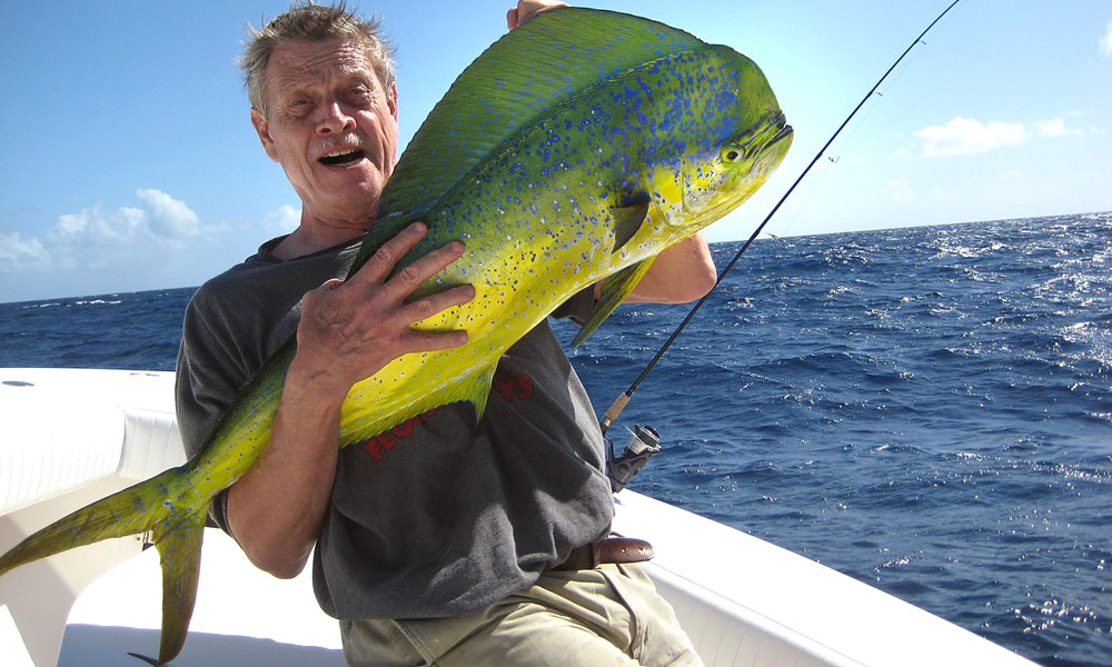 A deep-sea catch of a dolphin, also called mahi-mahi.