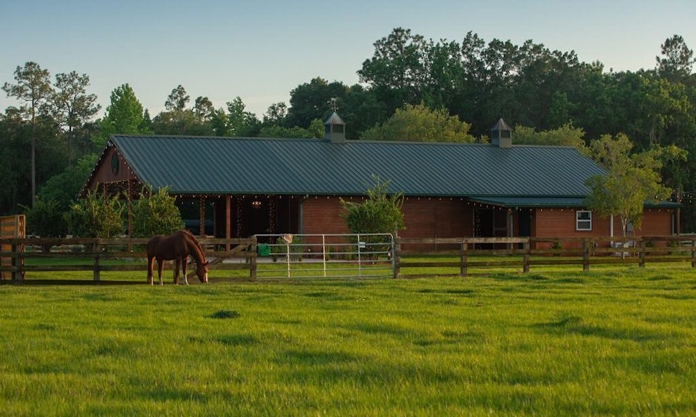 Kelly Farm Events Visit St Augustine