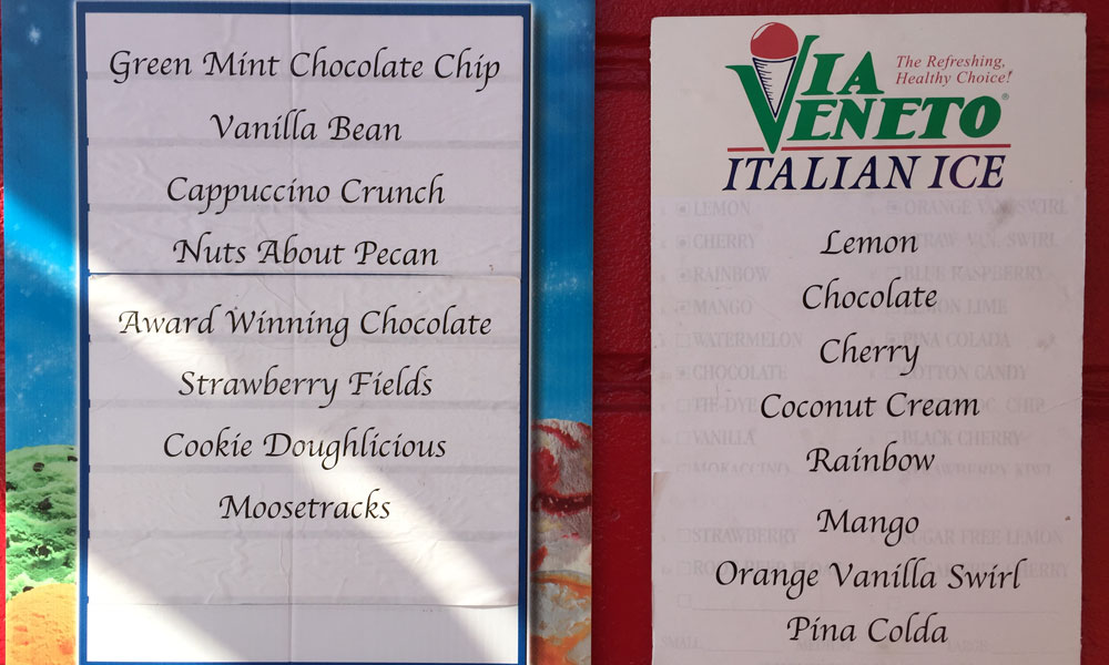 Frozen Flamingo Visit St Augustine