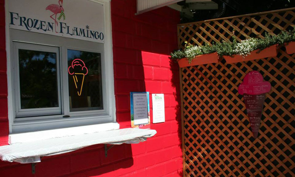 Frozen Flamingo Visit St Augustine