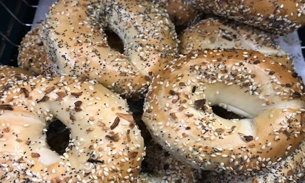Joint Bagel Company Visit St Augustine