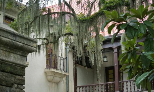 The Government House at the top of the Plaza on St. George Street in St. Augustine.