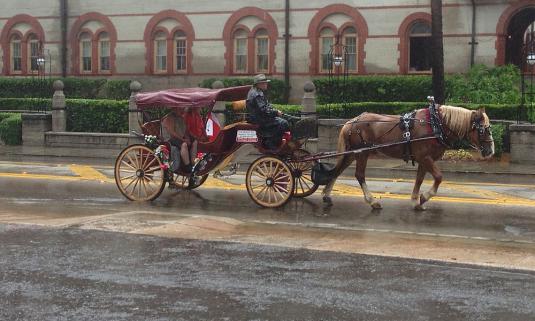 How to Fight the Rain in St. Augustine and Win