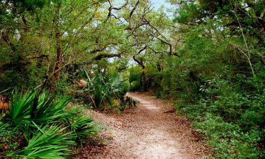10 Ways to Get Outdoors in St. Augustine