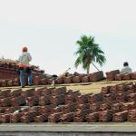 Two roofers working with tile with a palm tree in the background
