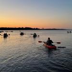 People paddling kayaks toward the sunset in Guana