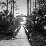 Walkway to Freedom - Courtesy of St. Johns Cultural Council