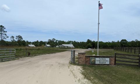 An American flag sways next to the opening of the Florida Agricultural Museum.