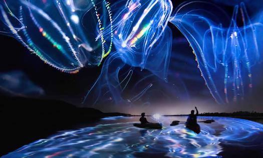 Two kayakers at night during a time of bioluminescence in a combined photo