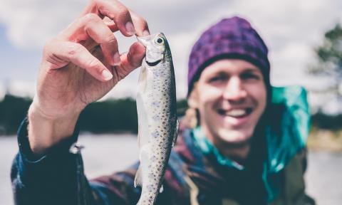 A hungry fish sucks on a mans finger.