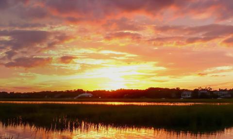 Sunset with golden and pink hues over wetland area