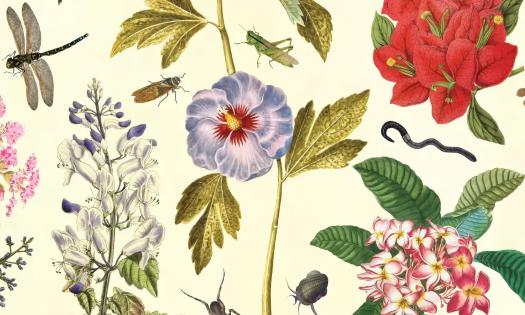 Classic botanical illustration featuring a variety of plants, colorful flowers, small insects, and a worm