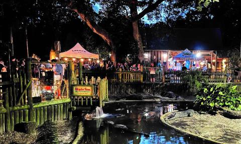 Looking past a water enclosure to the paths of the Alligator Farm, dotted with illuminated tents