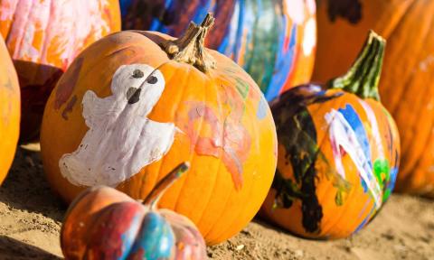 Handpainted pumpkins at the Fall Fling Festival