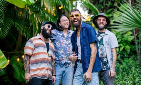 Coyote Island, a four-man band, standing among palm trees