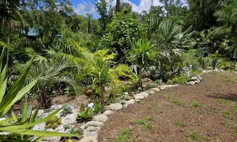 Various plants at St. Johns Botanical Garden & Preserve