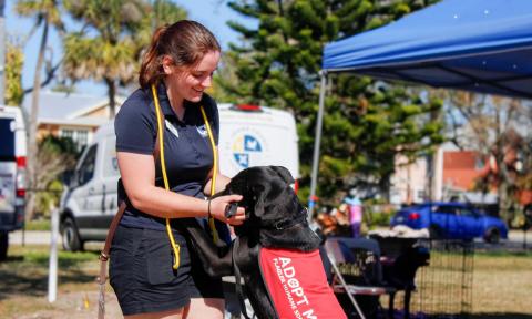 A lady giving a dog loving