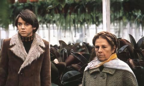 The two main characters in "Harold and Maude"