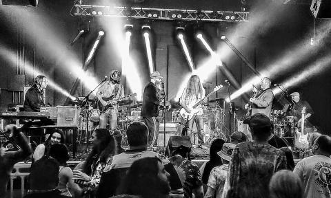 The band Bearly Dead on stage under spotlights