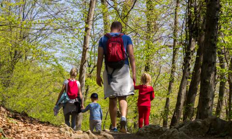 A dad and three young children on a nature walk
